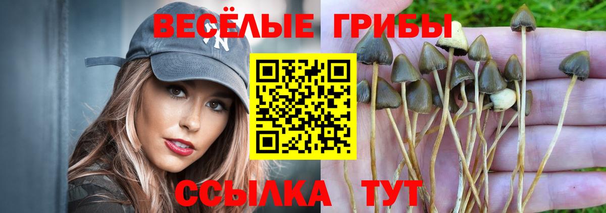 Муром  Псилоцибиновые грибы MAGIC MUSHROOMS  Вход с VPN 